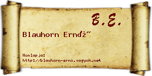 Blauhorn Ernő névjegykártya